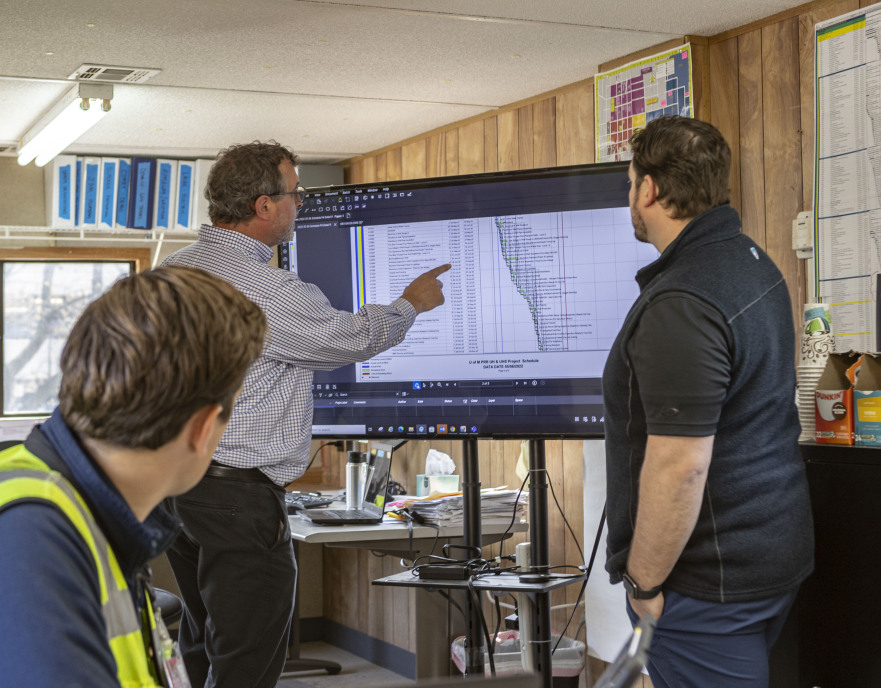 Nigerian in diaspora